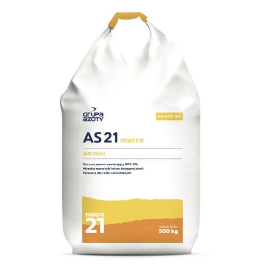 AS 21 macro 1