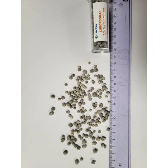 LUBOFOSKA 2
