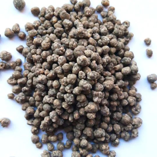 SALETROSAN 26 2