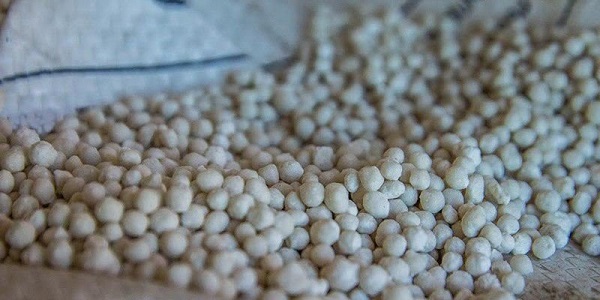 Salmag-1