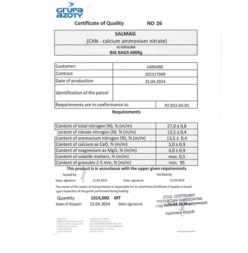 Salmag-2