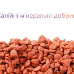 Калійні мінеральні добрива: тренди, виклики та перспективи для України